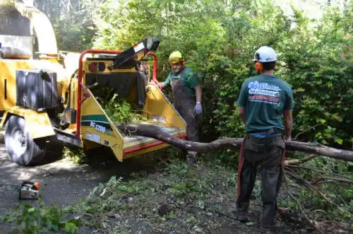 tree services Valier